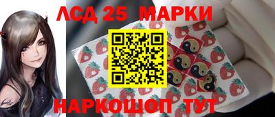 гидропоника Будённовск