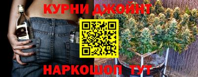 гидропоника Будённовск