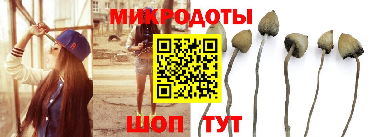 Раменское  Галлюциногенные грибы Cubensis  Вход с VPN 